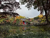 Зоопарк Инокасира (Inokashira Park Zoo), расположенный в Митаке/Мусасино (Токио)&nbsp; &nbsp; &nbsp;