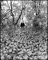 Превью バガボンド #1