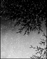 Превью バガボンド #7