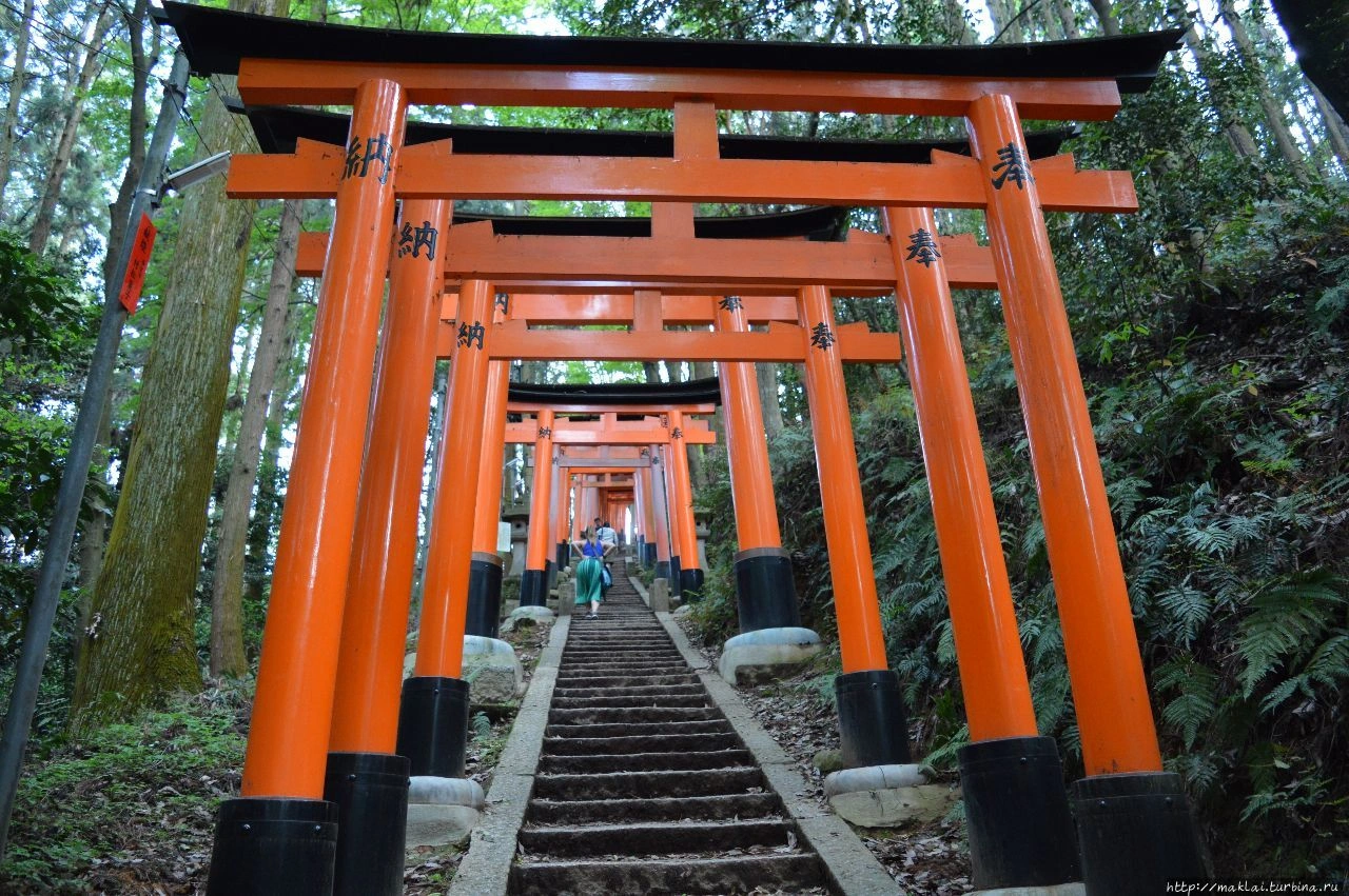Храм Фусими Инари Тайся. 10000 торий с историей (Киото, Япония)