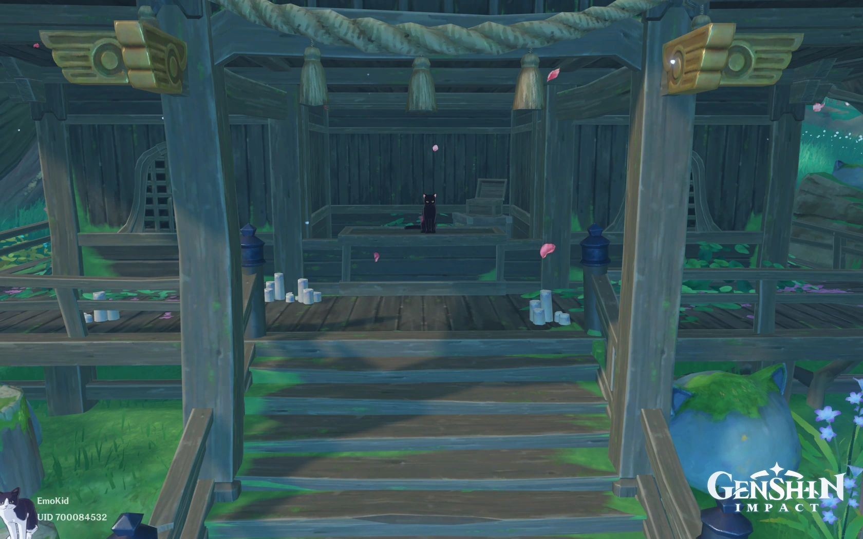 Настоятельница храма, конечно же, кошка