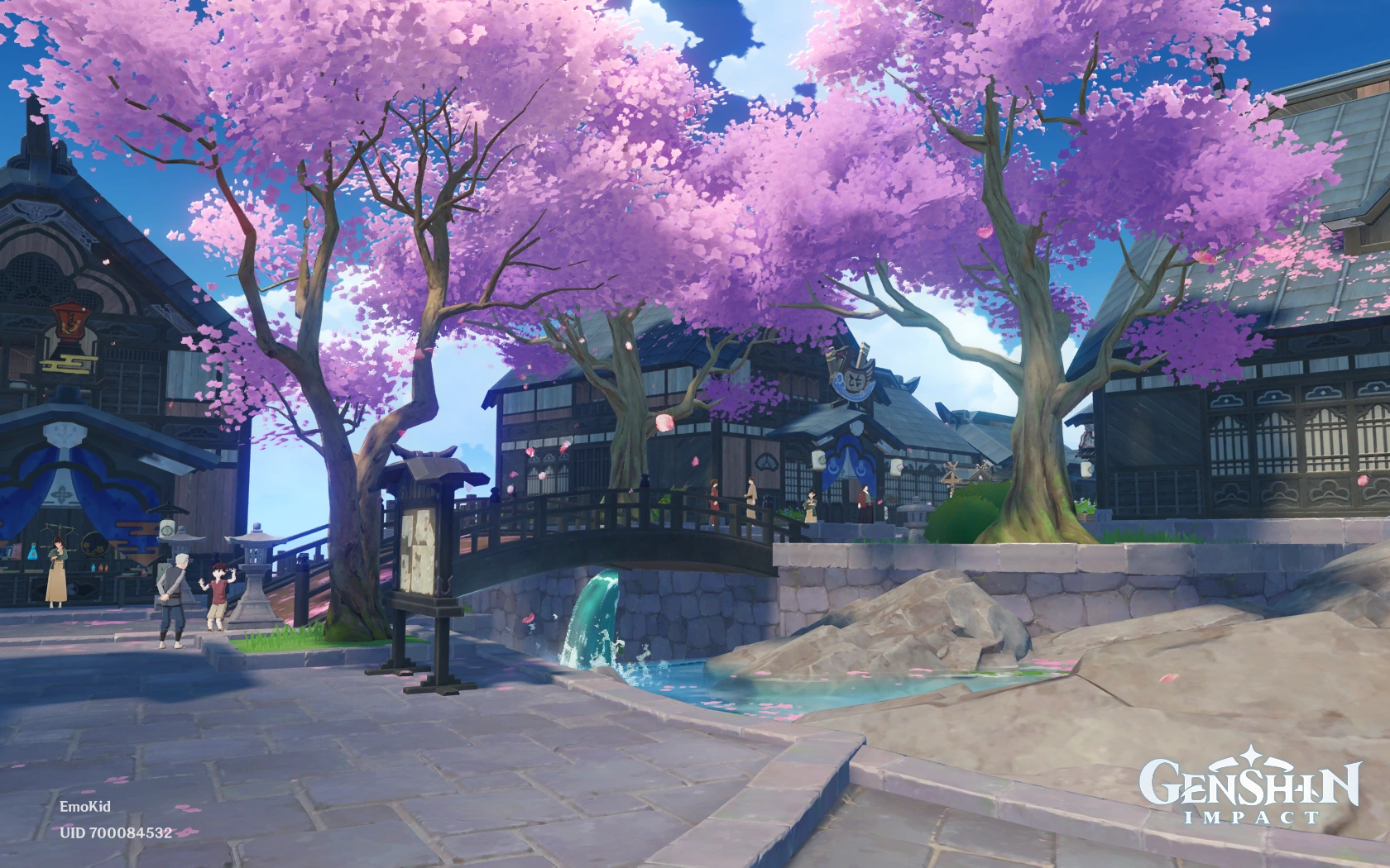 Сакура в городе Инадзума