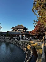 Превью «Охота» за красными кленами: наше путешествие в Японию в сезон момидзи #1