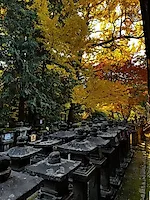 Превью «Охота» за красными кленами: наше путешествие в Японию в сезон момидзи #3