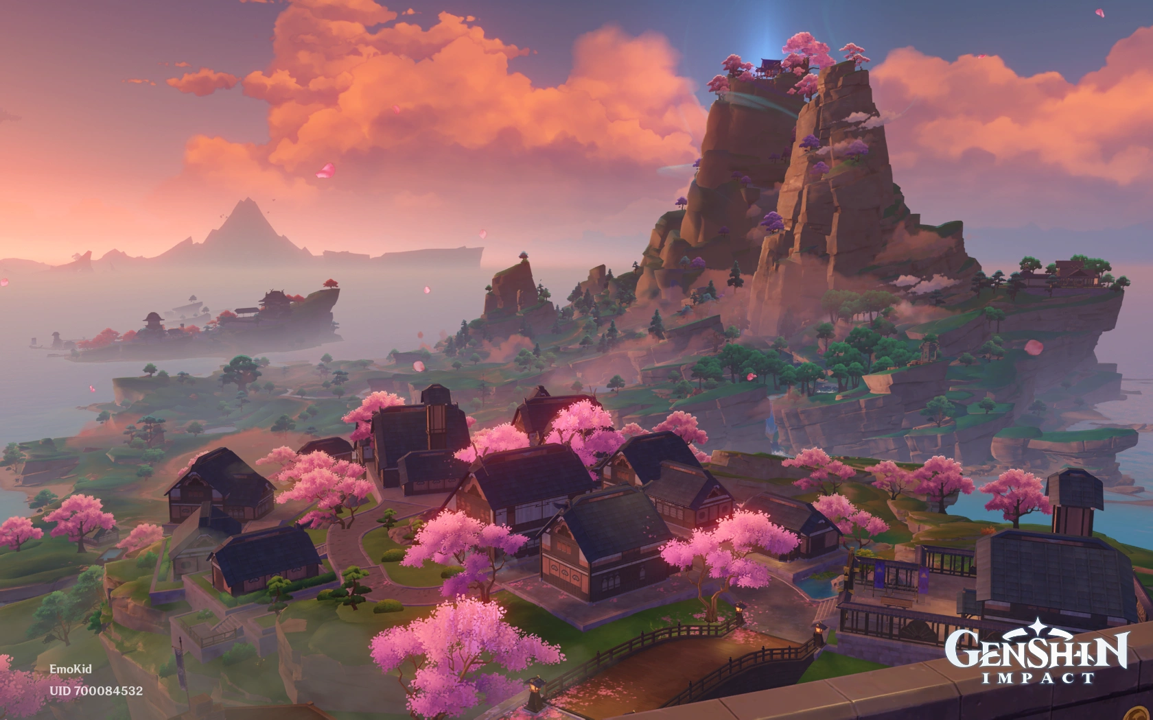 Вид город Инадзума