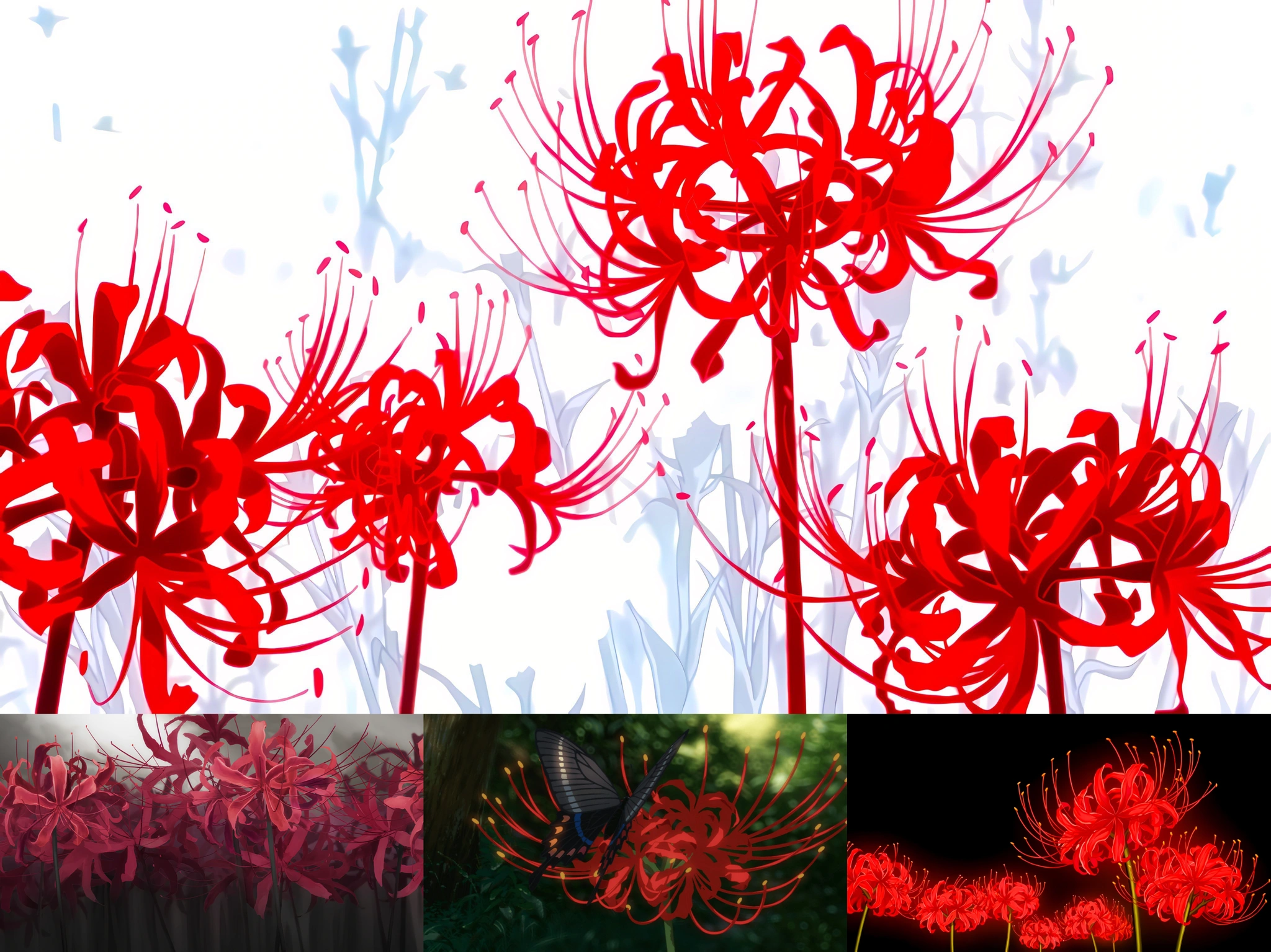 🩸Красный Ликорис — цветок, который поражает своей красотой. Наверняка вы много раз видели его в аниме!