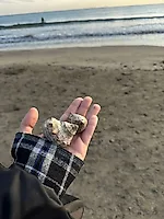 Превью «Охота» за красными кленами: наше путешествие в Японию в сезон момидзи #2