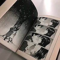 Манга: 5 сантиметров в секунду