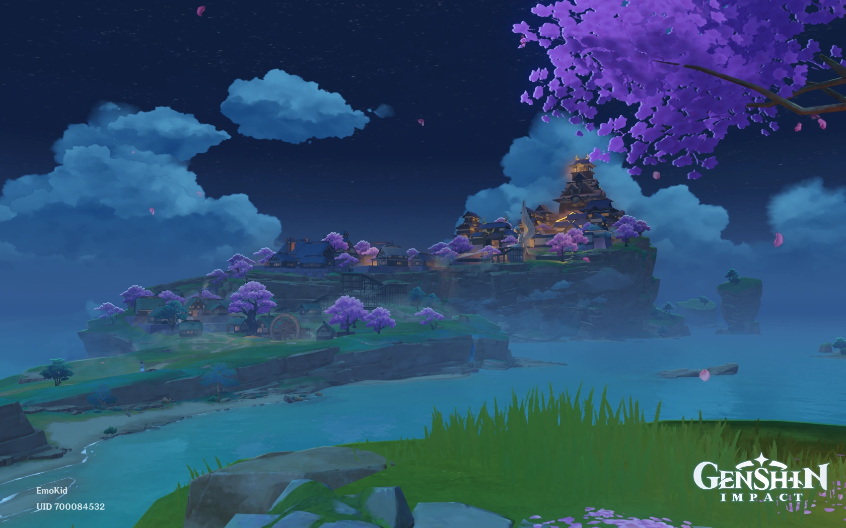 Вид на город Инадзума