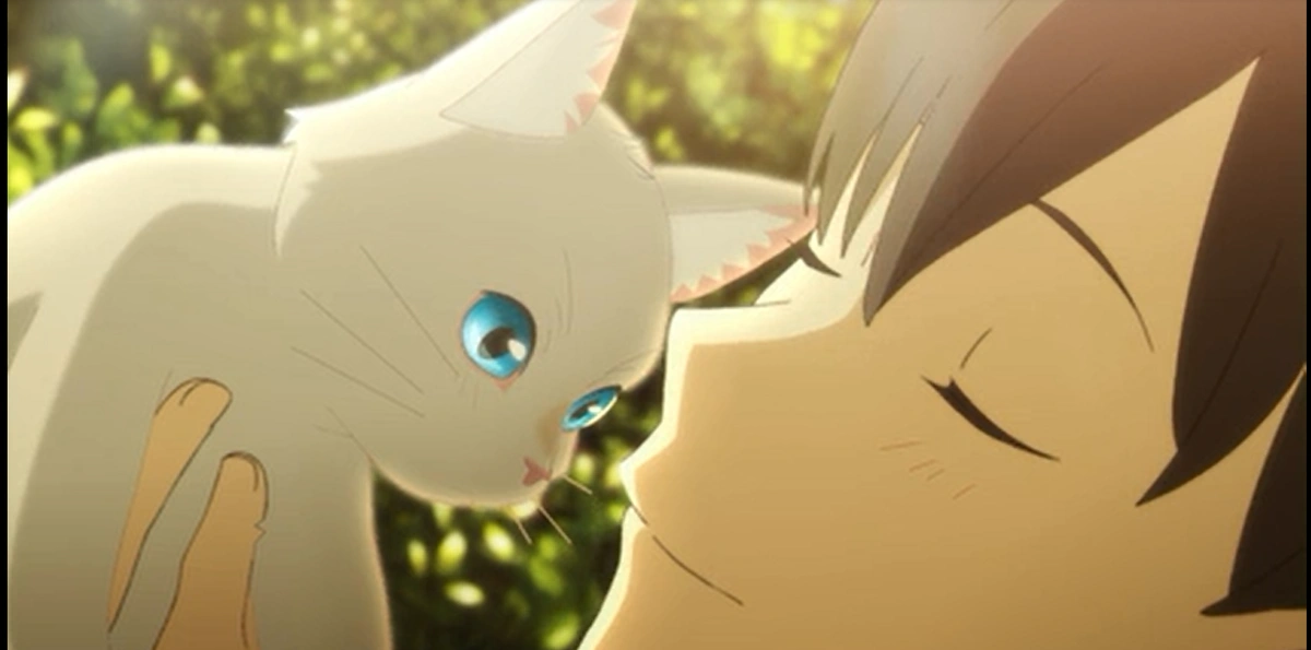 «Когда я притворяюсь кошкой, я забываю о своих проблемах.»