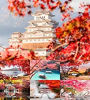 Осень в Японии очаровывает яркими красками момидзи – красными, оранжевыми и золотыми листья деревьев 🍁