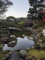 Превью «Охота» за красными кленами: наше путешествие в Японию в сезон момидзи #3