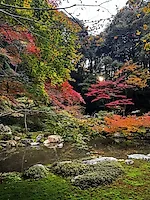 Превью «Охота» за красными кленами: наше путешествие в Японию в сезон момидзи #4