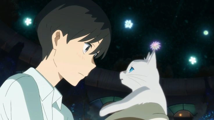 «Иногда хочется почувствовать прикосновение ветра, понимаете?»