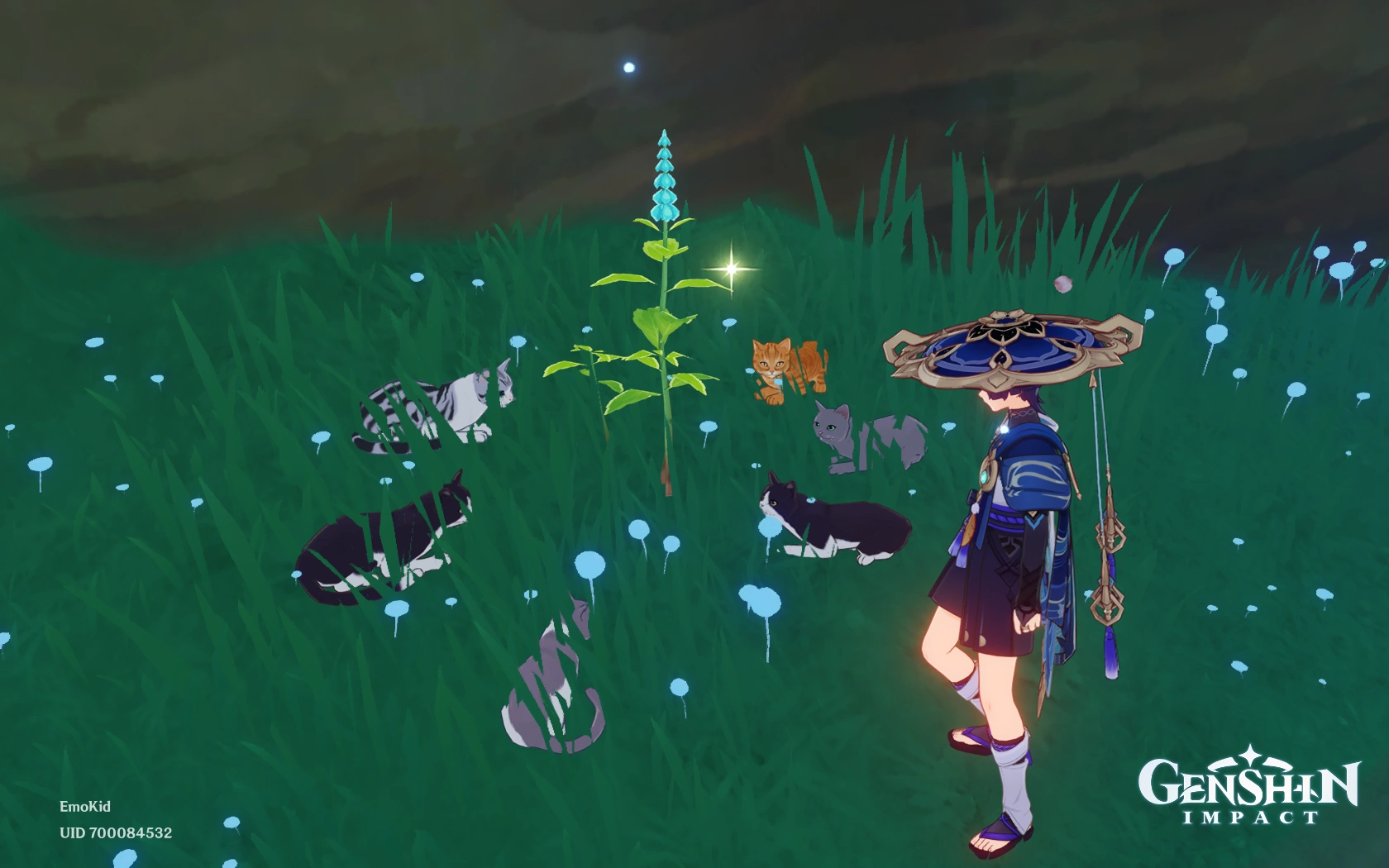 Котики окружили веточку мяты